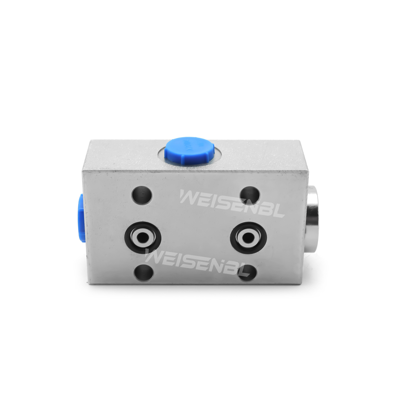 Customized Fast Delivery Hydraulic Lock Single Pilot Check Valve