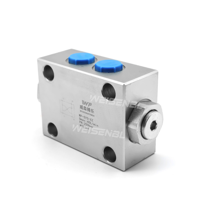 Hydraulic Valve Customized So-K*-B Double Pilot Check Valve